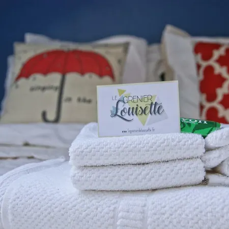 Le Grenier De Louisette Frühstückspension Libourne