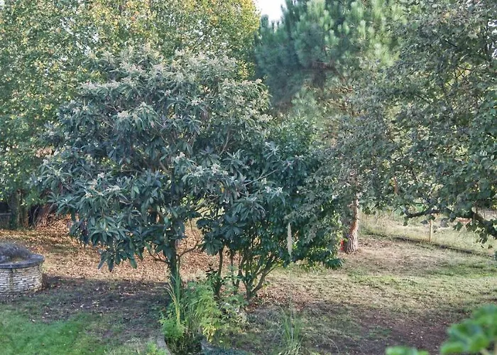 Le Grenier De Louisette Hotel *