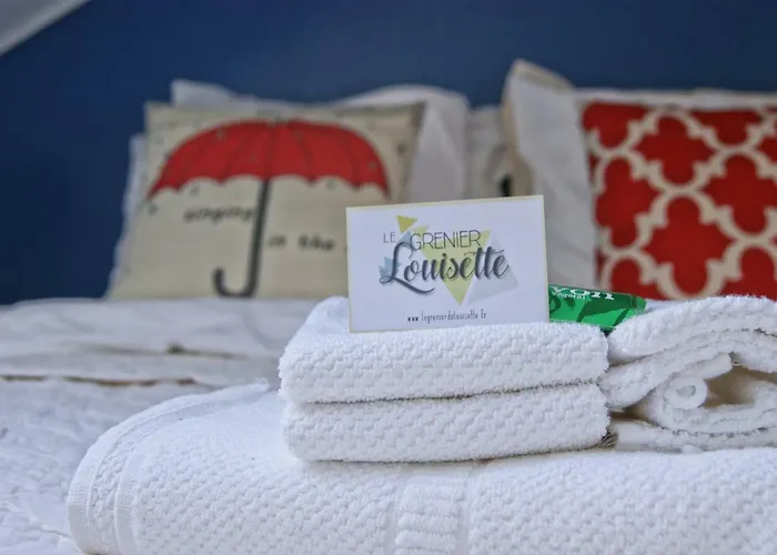 Le Grenier De Louisette Hotel Libourne